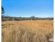 96 Caves Road, Stanthorpe QLD 4380