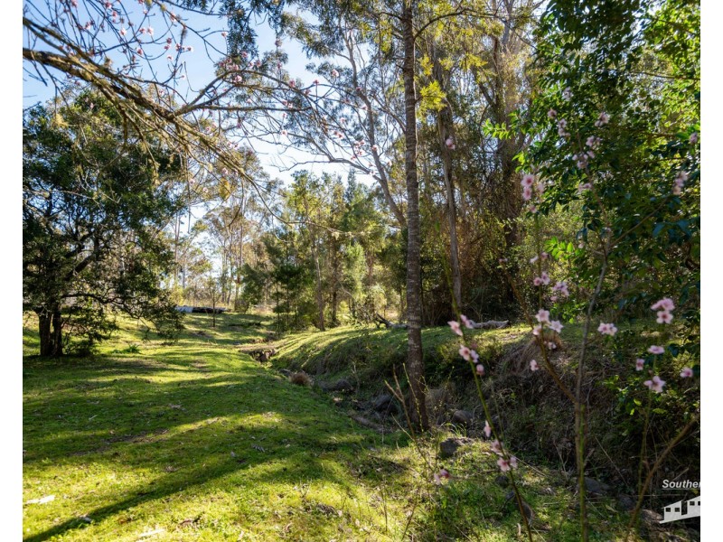 167 Dollar Bill Drive, Swanfels QLD 4371