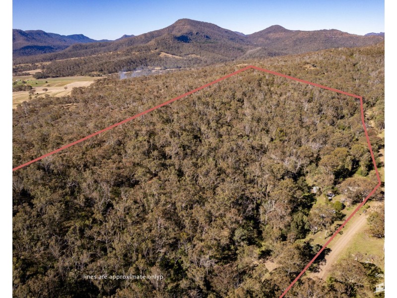 167 Dollar Bill Drive, Swanfels QLD 4371