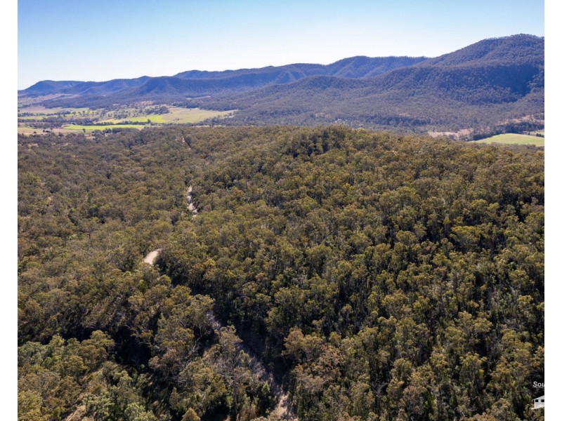 167 Dollar Bill Drive, Swanfels QLD 4371