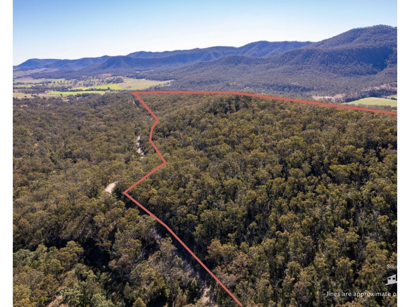 167 Dollar Bill Drive, Swanfels QLD 4371