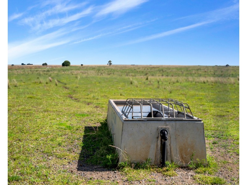 40 Ipomea Street, Emu Vale QLD 4371