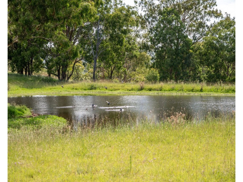 1006 North Branch Road, Goomburra QLD 4362