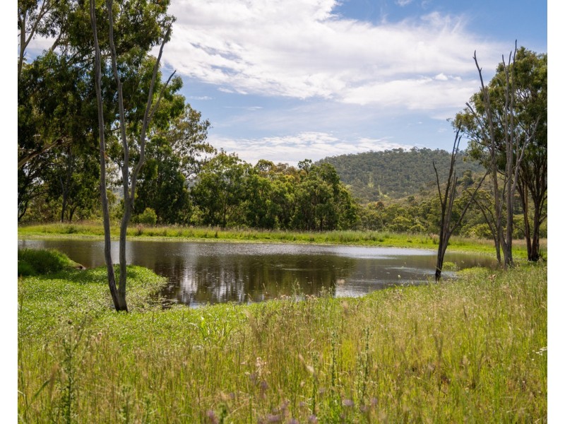 1006 North Branch Road, Goomburra QLD 4362