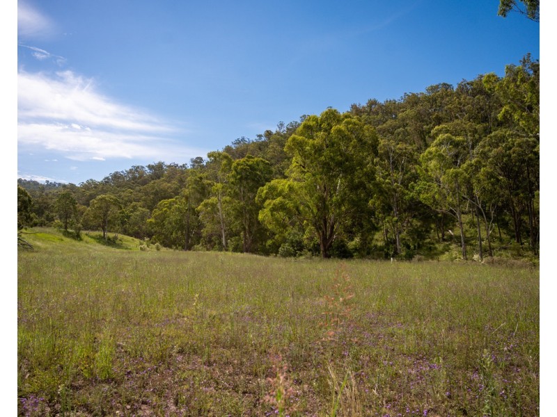 1006 North Branch Road, Goomburra QLD 4362