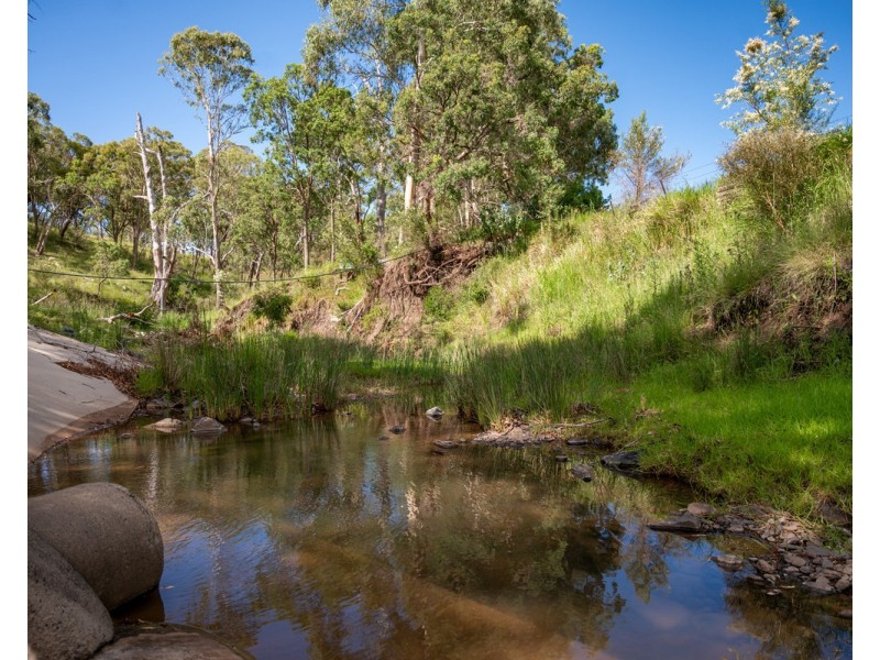 1006 North Branch Road, Goomburra QLD 4362