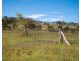 1006 North Branch Road, Goomburra QLD 4362