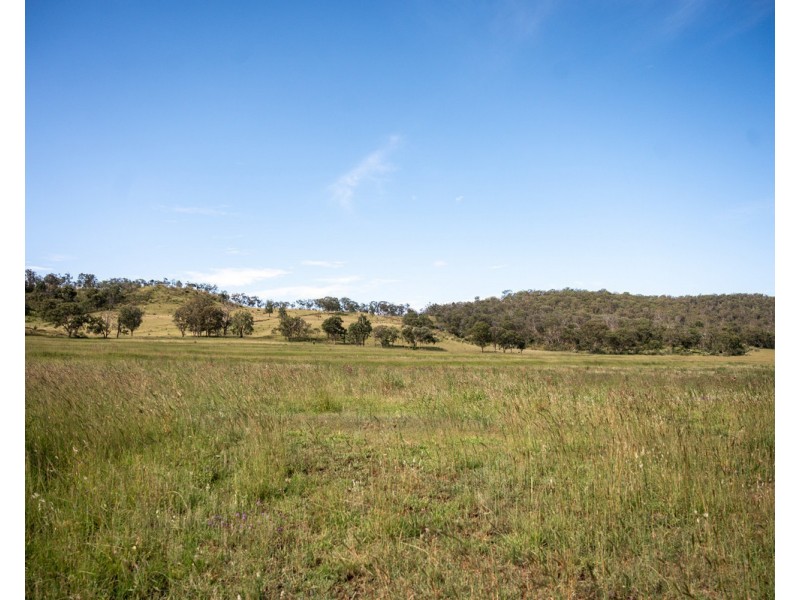 1006 North Branch Road, Goomburra QLD 4362