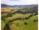 1006 North Branch Road, Goomburra QLD 4362
