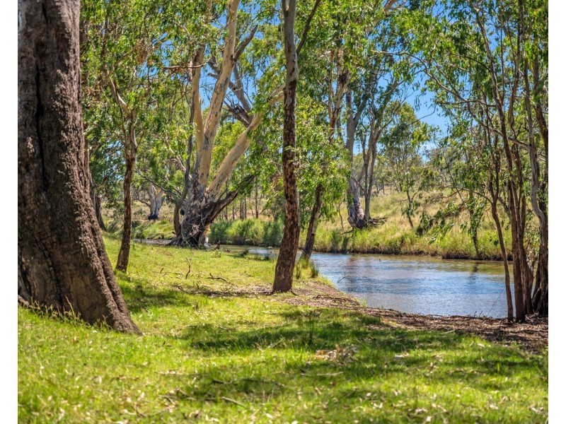 2297 Leyburn Cunningham Road, Pratten QLD 4370
