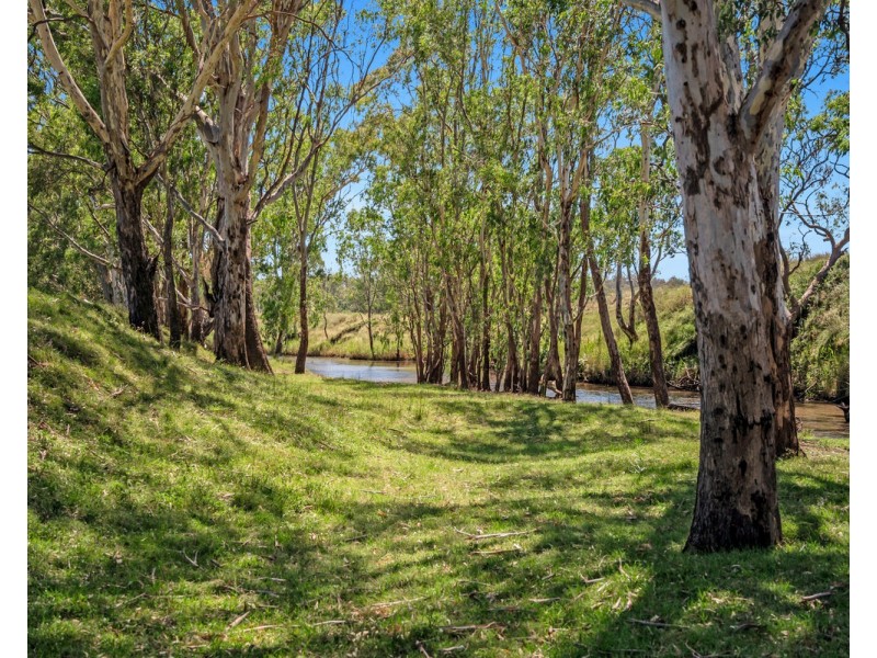 2297 Leyburn Cunningham Road, Pratten QLD 4370