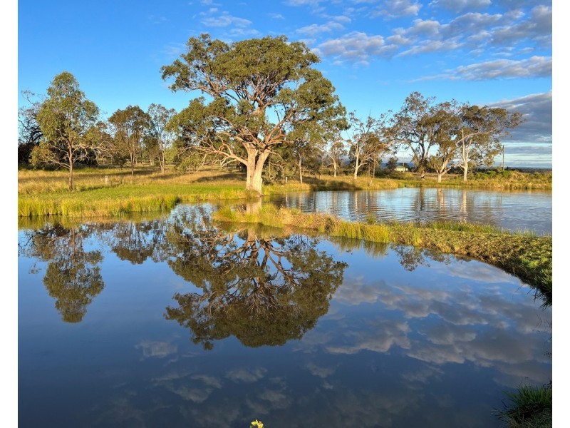 1115 Warwick Yangan Road, Swan Creek QLD 4370