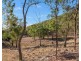 61 Hart Road, Thanes Creek QLD 4370