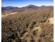 167 Dollar Bill Drive, Swanfels QLD 4371