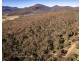 167 Dollar Bill Drive, Swanfels QLD 4371