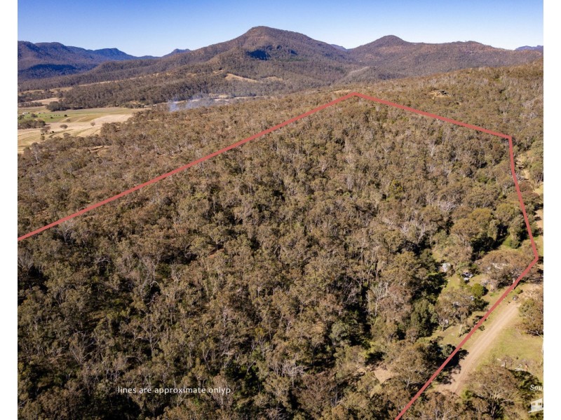 167 Dollar Bill Drive, Swanfels QLD 4371