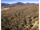 167 Dollar Bill Drive, Swanfels QLD 4371