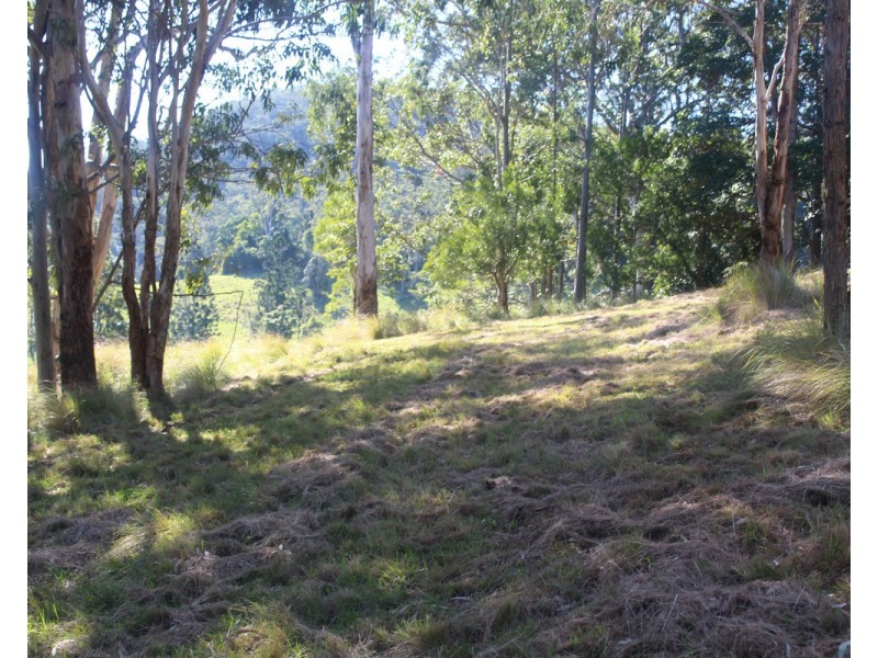 21 Spring Creek Road, The Head QLD 4373