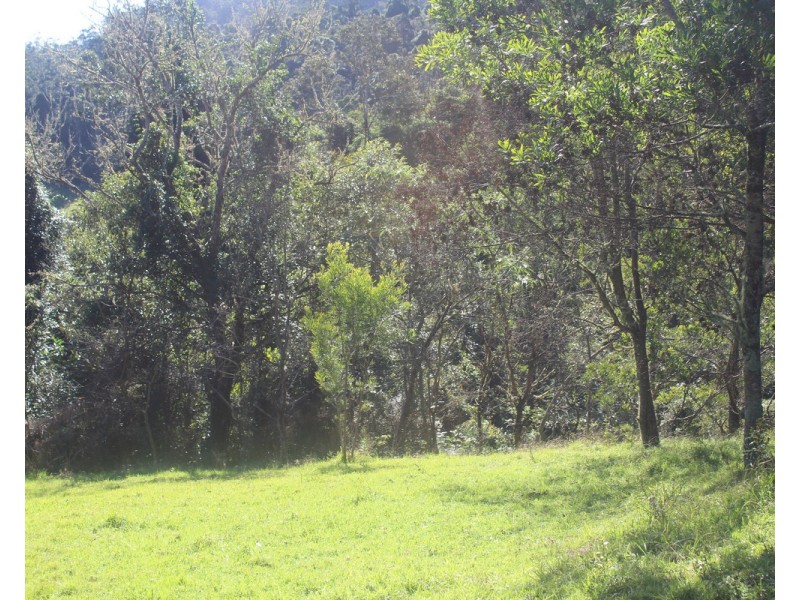 21 Spring Creek Road, The Head QLD 4373