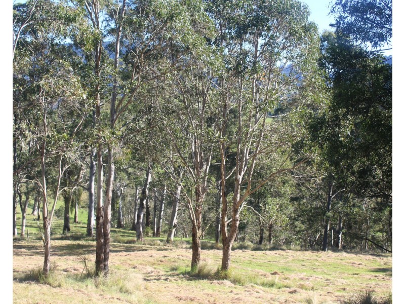 21 Spring Creek Road, The Head QLD 4373