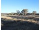 2087 Rabbit Fence Road, Passchendaele QLD 4375