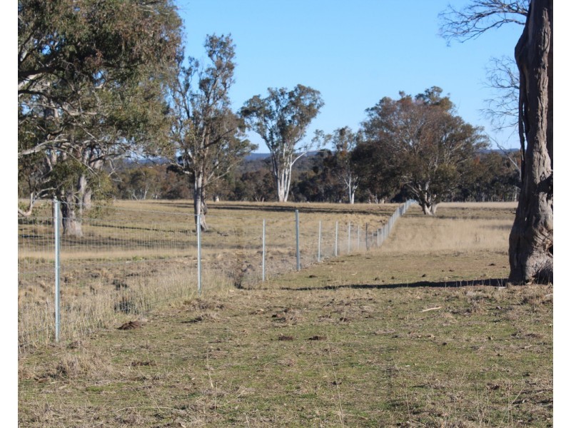 2087 Rabbit Fence Road, Passchendaele QLD 4375