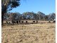 2087 Rabbit Fence Road, Passchendaele QLD 4375