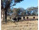 2087 Rabbit Fence Road, Passchendaele QLD 4375