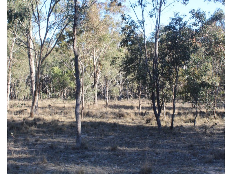 2087 Rabbit Fence Road, Passchendaele QLD 4375