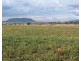 3 Briggs Road, Swan Creek QLD 4370