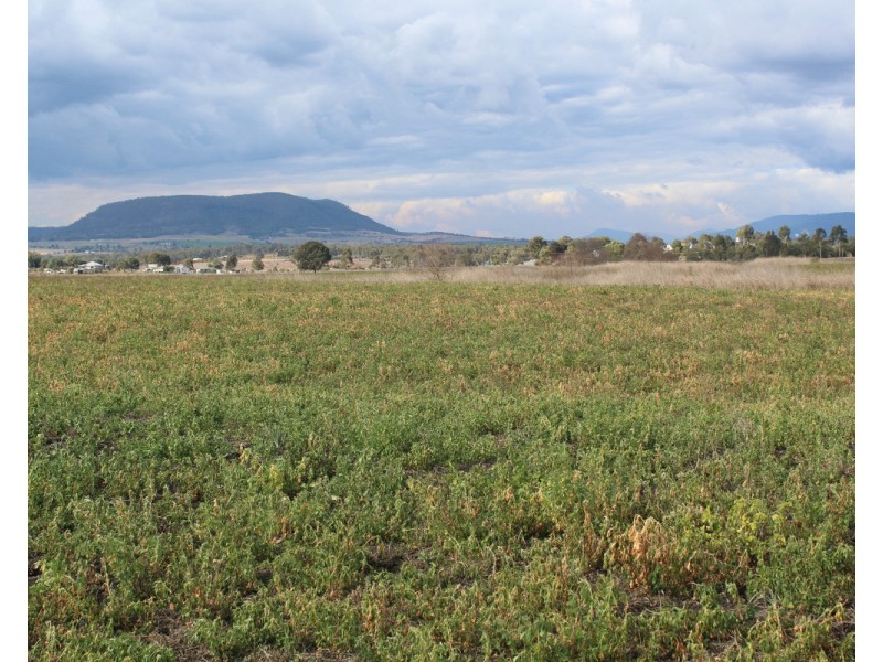 3 Briggs Road, Swan Creek QLD 4370