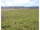 3 Briggs Road, Swan Creek QLD 4370