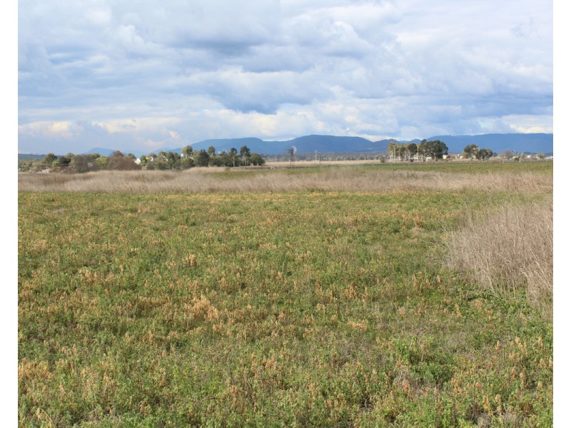 3 Briggs Road, Swan Creek QLD 4370