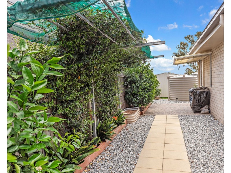 1/11 Iceberg Crt, Warwick QLD 4370