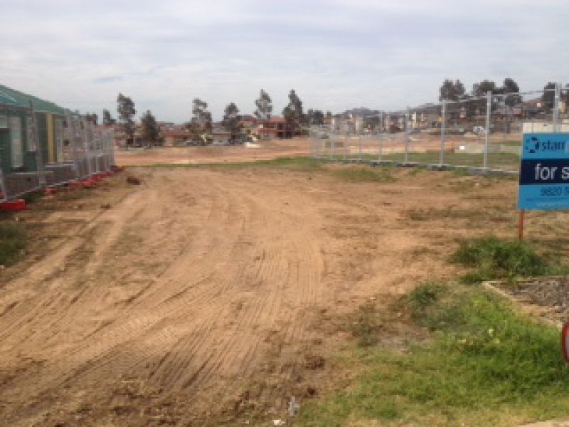 146 Dalrymple Street, Minto NSW 2566