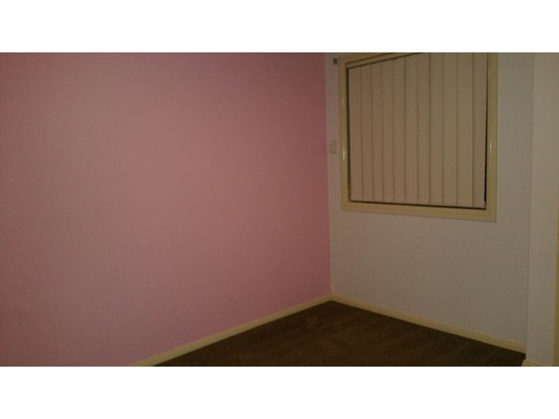 1 Webb Place, Minto NSW 2566