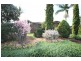 17 Pickett Place, Minto NSW 2566