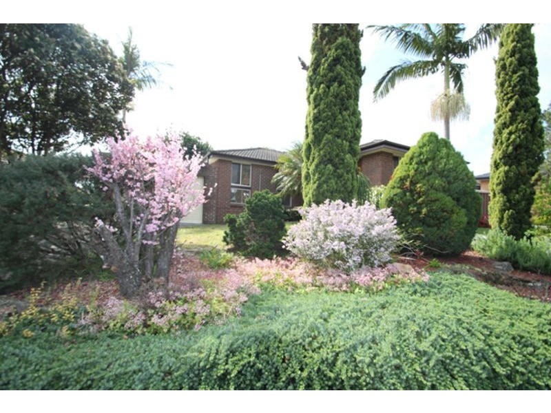 17 Pickett Place, Minto NSW 2566