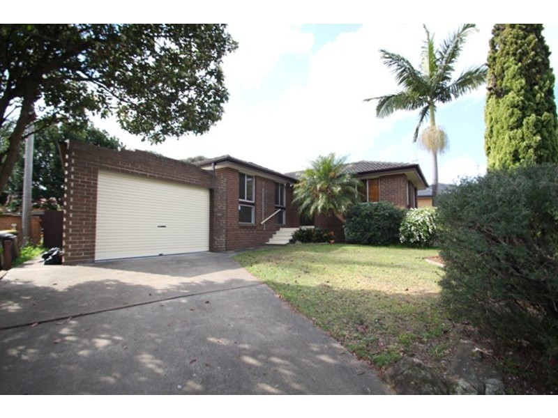 17 Pickett Place, Minto NSW 2566