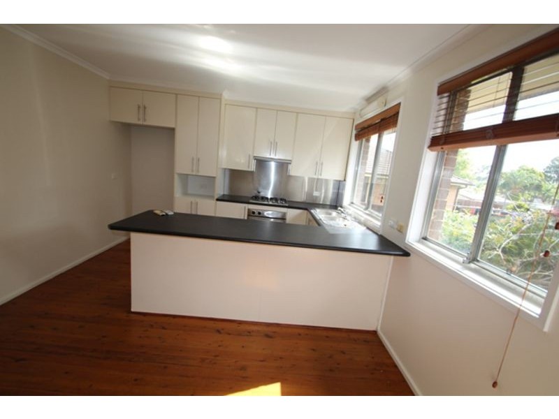 17 Pickett Place, Minto NSW 2566