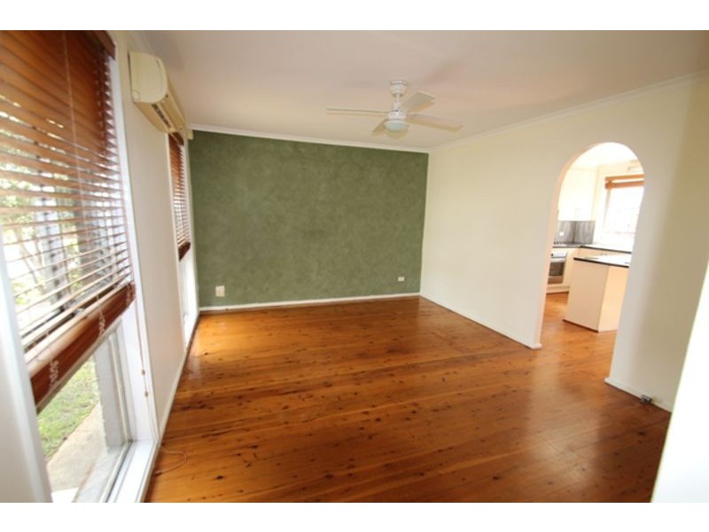 17 Pickett Place, Minto NSW 2566