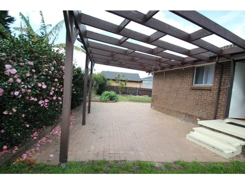 17 Pickett Place, Minto NSW 2566