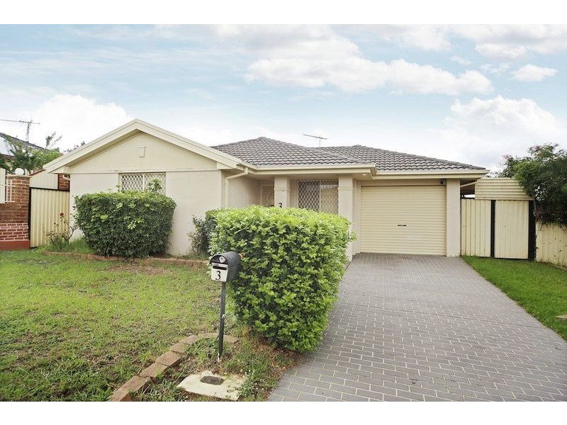 3 Blane Street, Minto NSW 2566