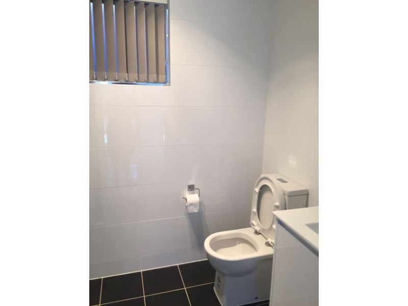 15A Guernsey Ave, Minto NSW 2566