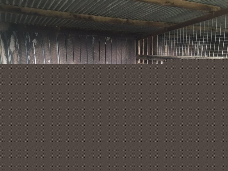 42 Cabbage Tree Road, Kurrajong NSW 2758