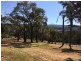 42 Cabbage Tree Road, Kurrajong NSW 2758