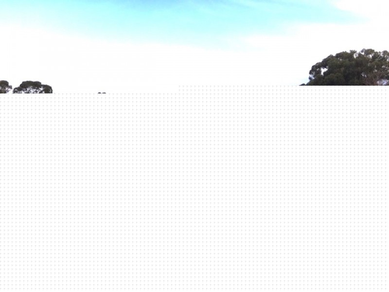 42 Cabbage Tree Road, Kurrajong NSW 2758