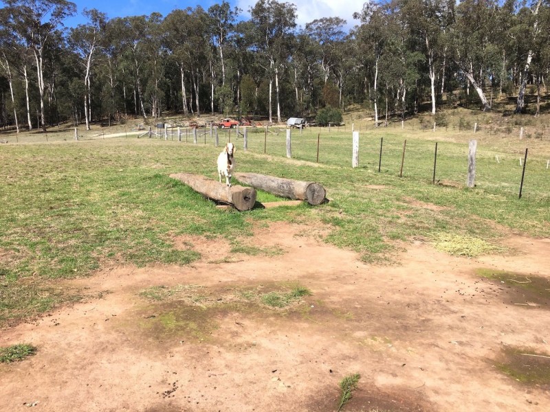 Lot 12 Kinderun – Bakers Road, Putty NSW 2330