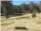 Lot 12 Kinderun – Bakers Road, Putty NSW 2330