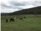 Lot 6/17/27 Putty Road, Putty NSW 2330